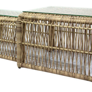 Meghan Coffee Table Set of 2